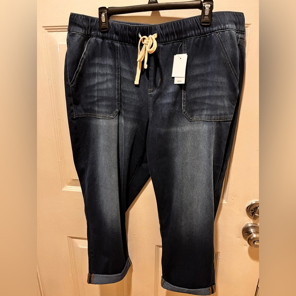 Lane Bryant boyfriend capri
